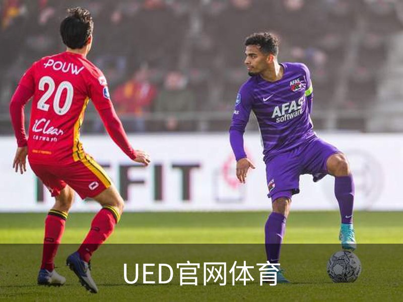 UED官网体育概况